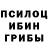 Еда ТГК марихуана M. qazmi's