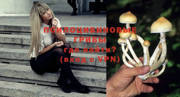 крисы Дмитровск