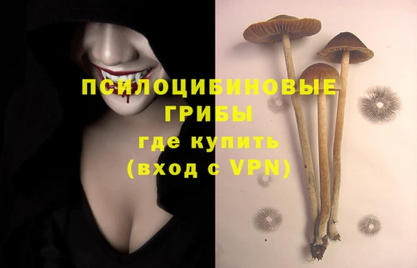 крисы Дмитровск