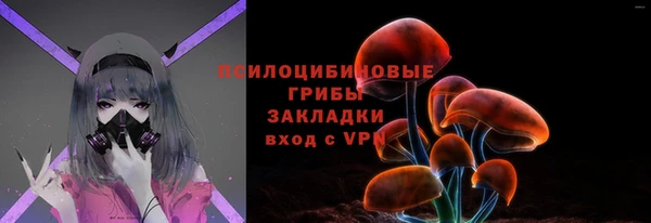 крисы Дмитровск