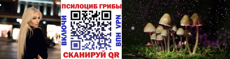 Псилоцибиновые грибы мицелий  наркотики  Новошахтинск 