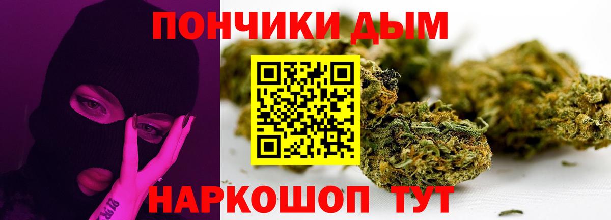 Каннабис сатива Новошахтинск
